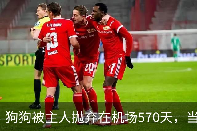 狗狗被主人抛弃在机场570天，当主人回来接它时，看哭了所有人
