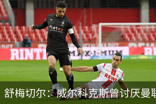 舒梅切尔：威尔科克斯曾讨厌曼联，为何如今却在曼联任职
