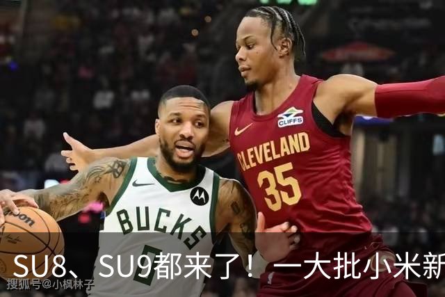 SU8、SU9都来了！一大批小米新车即将来袭